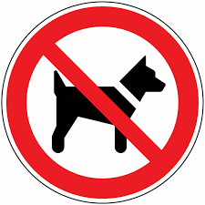 chien interdit